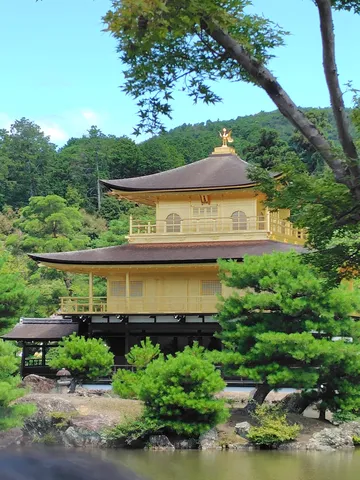 金色の寺と森の静寂
