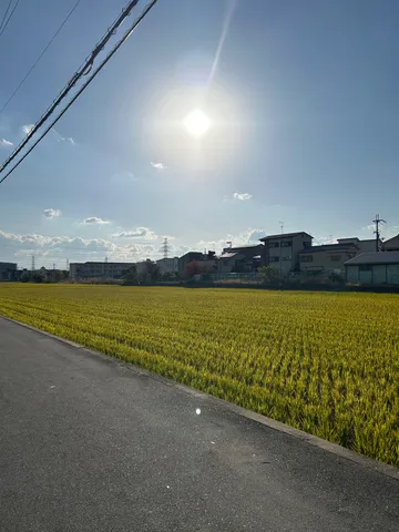 夕暮れ時の田園風景
