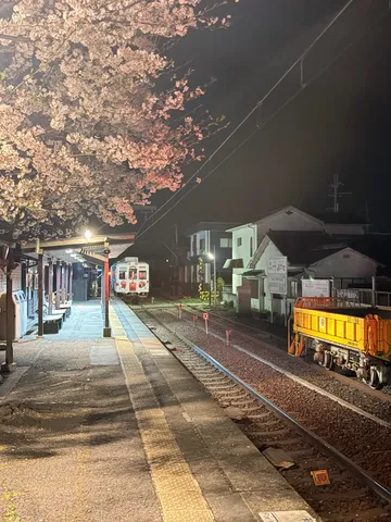 夜桜と駅の静寂