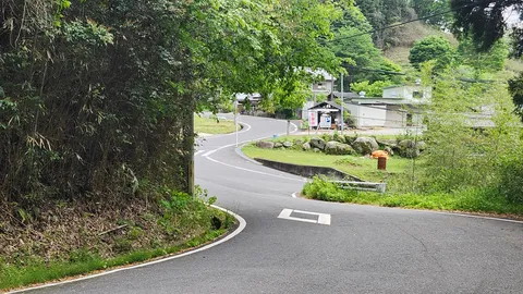 緑のトンネルを抜ける道
