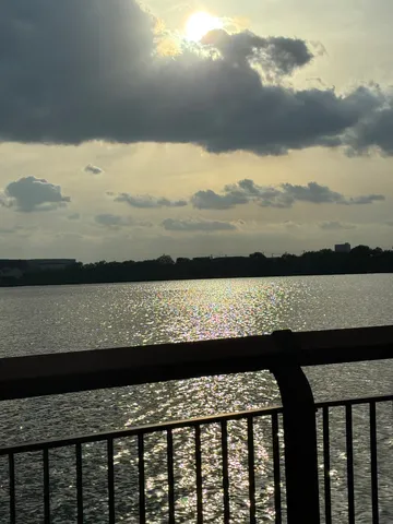 太陽がきらめく水辺の風景