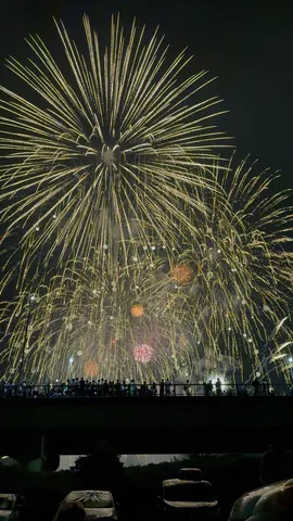 夜空を彩る金の花火