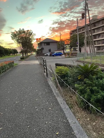 夕景の小路と電線の影