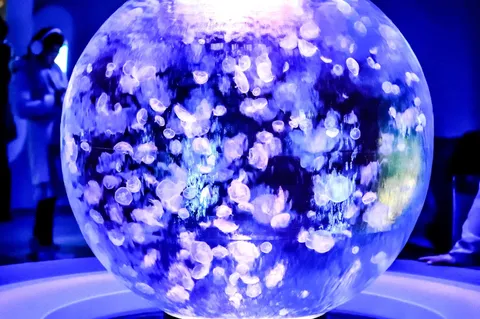 くらげのぷかぷか水族館