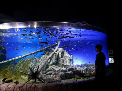 深海を思わせる水槽の景色