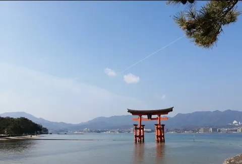 水辺に浮かぶ赤い鳥居