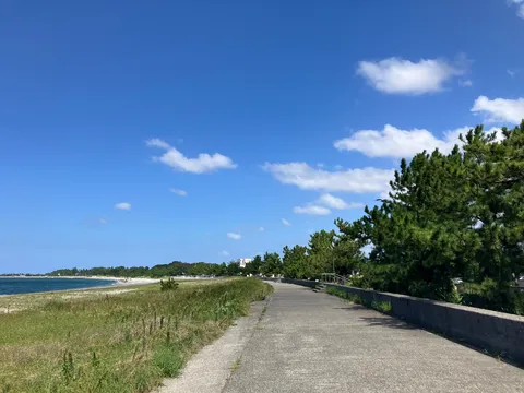 夏の浜辺の静かな散歩道