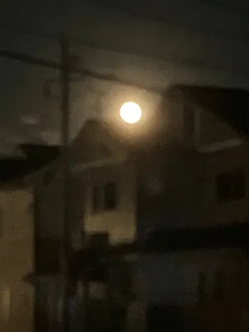 都会の夜空に浮かぶ月