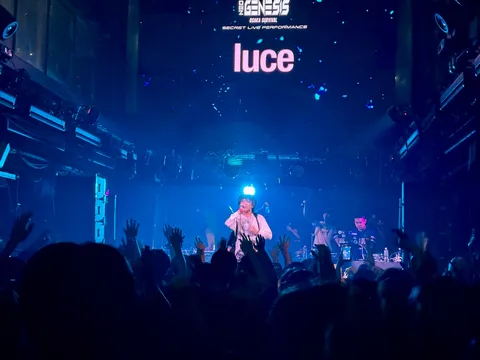 ライブ会場、熱狂と光の渦