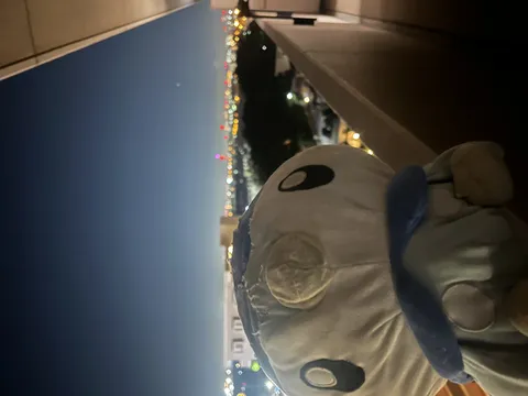夜空を見つめるぬいぐるみ