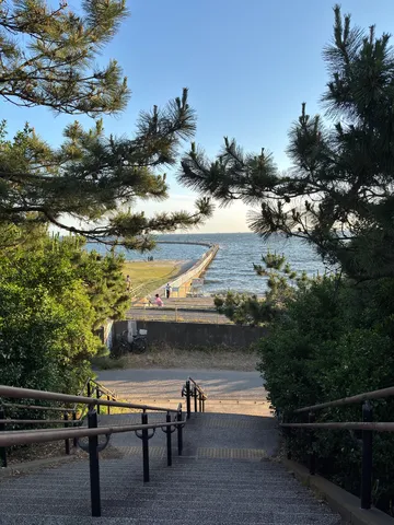 木漏れ日と海への誘い