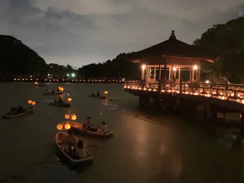 夜に浮かぶ光の舟