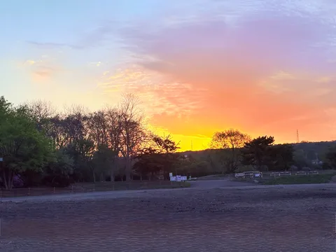 夕暮れ色の岸辺風景