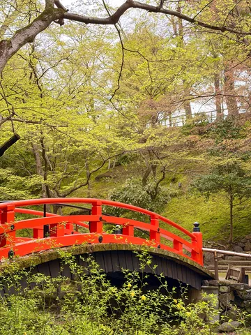 緑に浮かぶ朱の橋