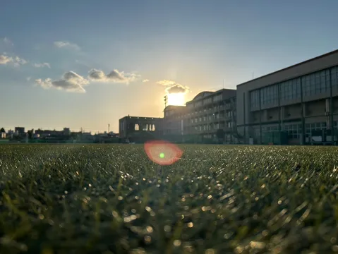 夕陽と芝生の静かな瞬間