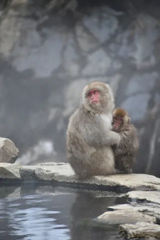 母子の温もり、湯けむりの向こう