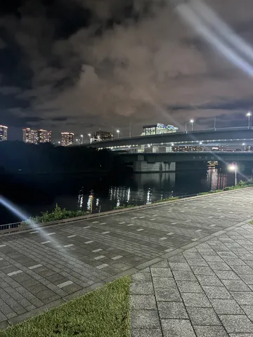 水面に映る都会の夢