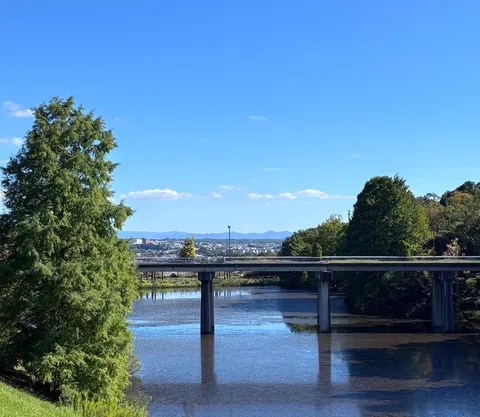 水辺に映る青のささやき