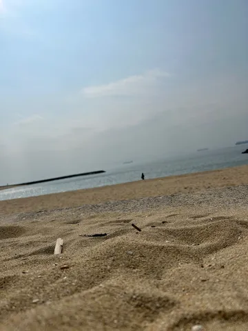 砂浜の静かな航路