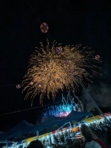 夜空に咲く金色の記憶