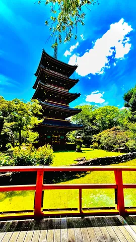 五重塔と鮮やかな新緑
