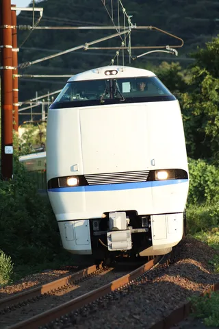 疾走する白い巨体、緑の中へ