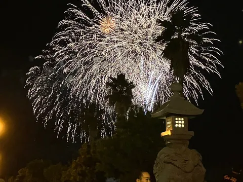 夏の夜空に咲く大輪の花