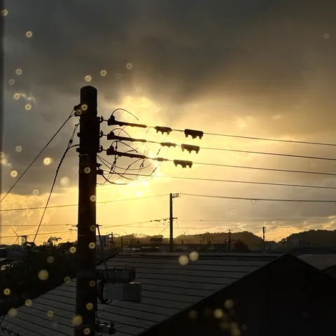 雨粒越しの夕暮れ電線