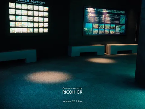 闇を照らす青い展示空気