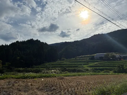 山里の棚田に差す光