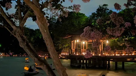 夜の灯りと静寂の水面