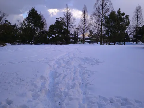 冬の公園、雪の足跡