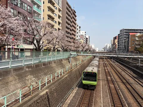 春色に染まる都会の軌跡