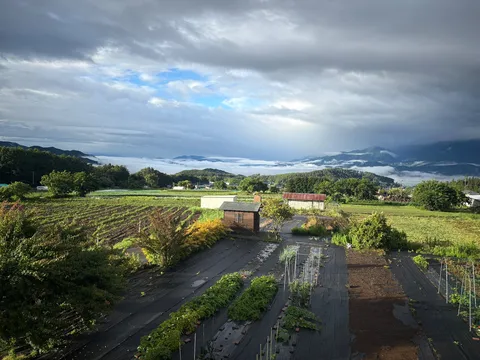 雲間から光差す、霧に包まれた田園風景