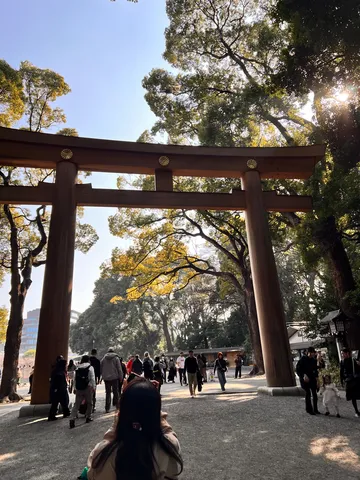 光差し込む鳥居の参道