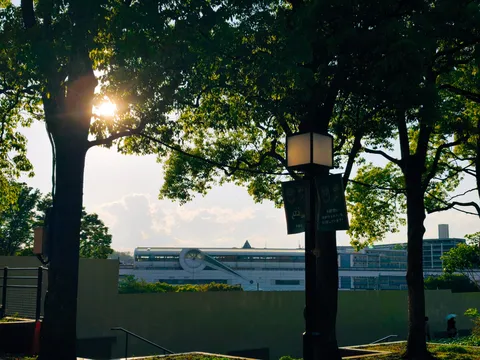 木漏れ日と近代建築のコントラスト
