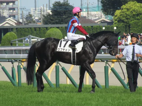 疾走を支える静かなる絆