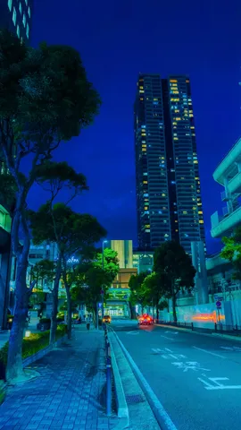夜の街が映す静かな青