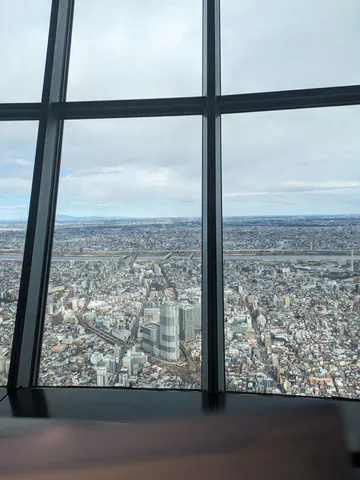 高層から見える街の息吹