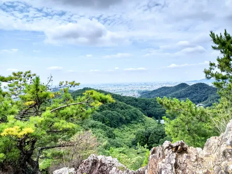 緑広がる丘陵と遠くの街並み