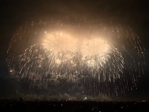 夜空を彩る黄金のシャワー