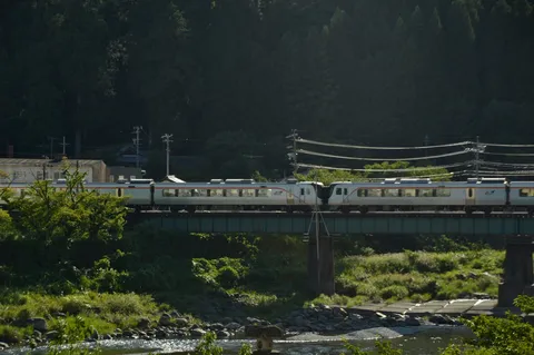 緑深き森を抜ける風光明媚な列車旅