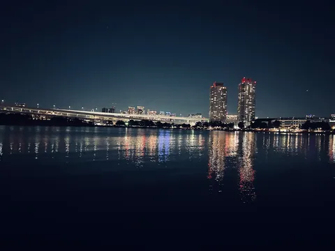 都会の夜景と水辺の灯り