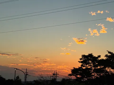 夕暮れの街と電線のきらめき