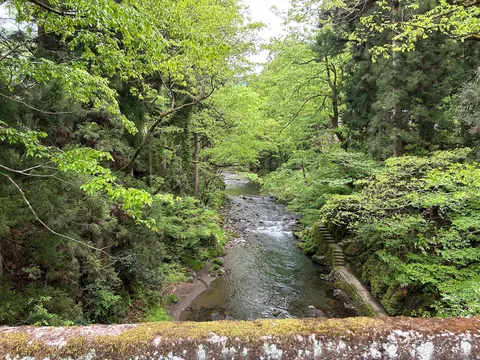 木漏れ日とせせらぎの小道