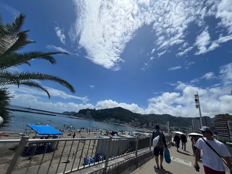 海辺の青と風を映す