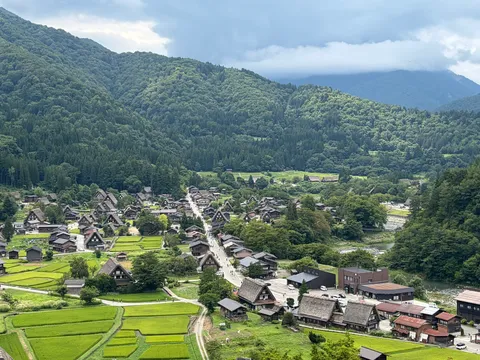 緑の絨毯と合掌造りの里