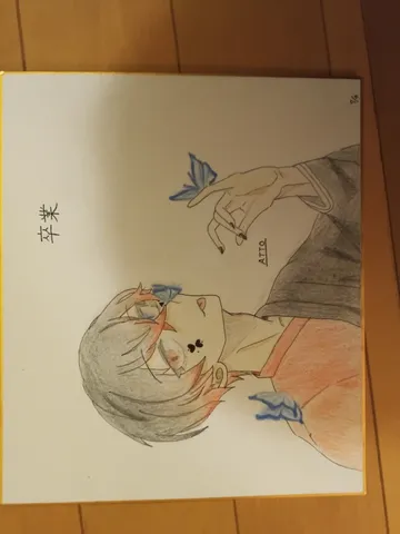 蝶と静かな時間