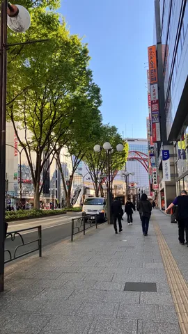都会の並木道、光あふれて