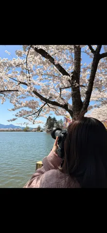 桜と水辺の静かな視線